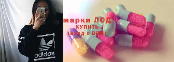 молекула духа Богородицк