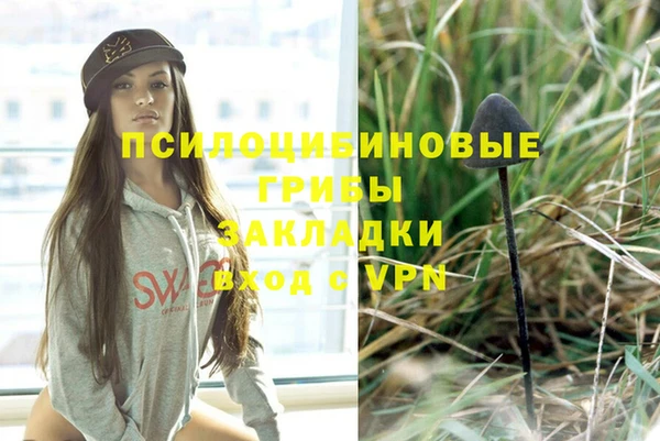 молекула духа Богородицк