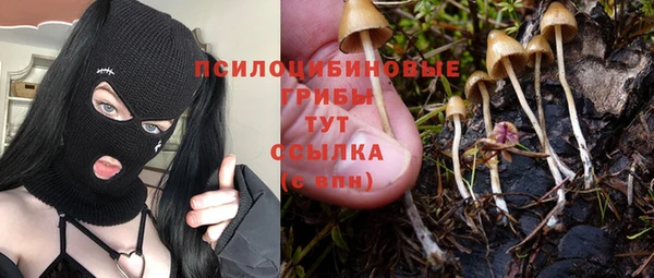 кокаин перу Белокуриха