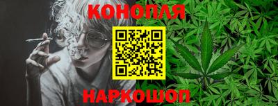 крисы Тулун