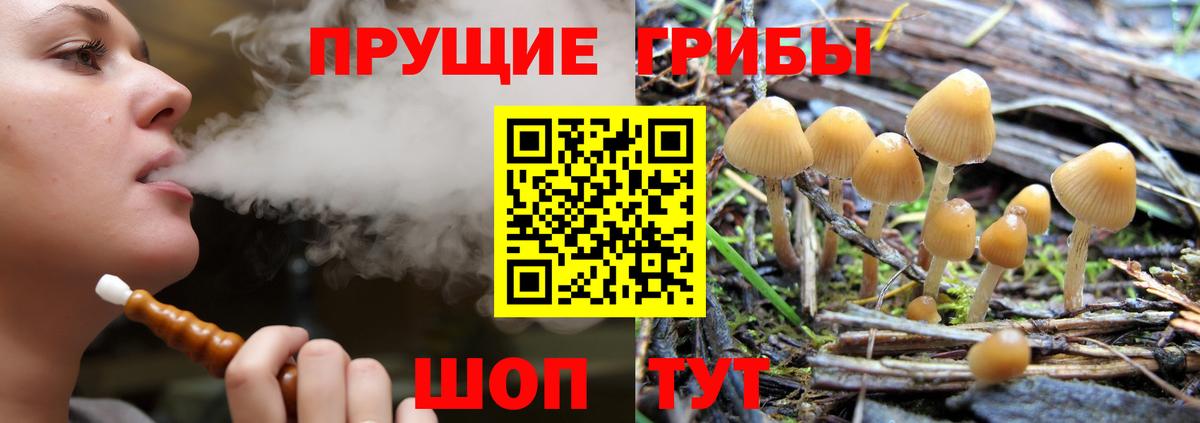 Галлюциногенные грибы ЛСД  Вход с VPN  закладки  Псилоцибиновые грибы Psilocybe  Реж 